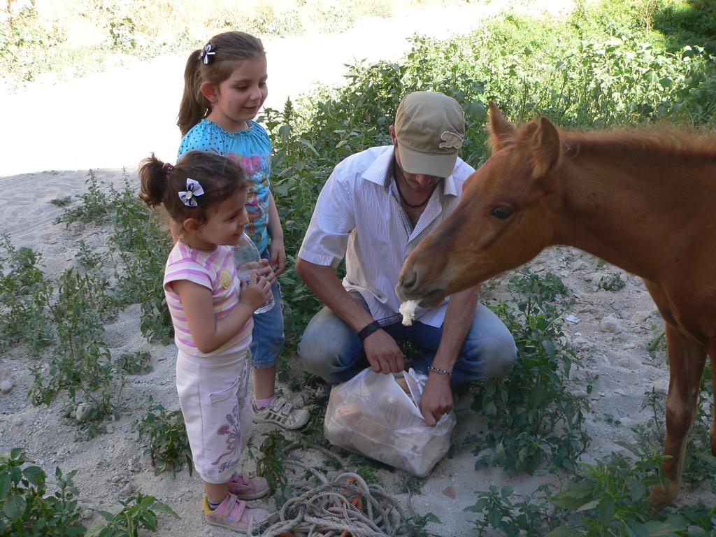 Crazy Horse Pension Ürgüp Extérieur photo